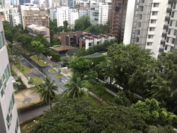 Belmond Green (D10), Condominium #159203012